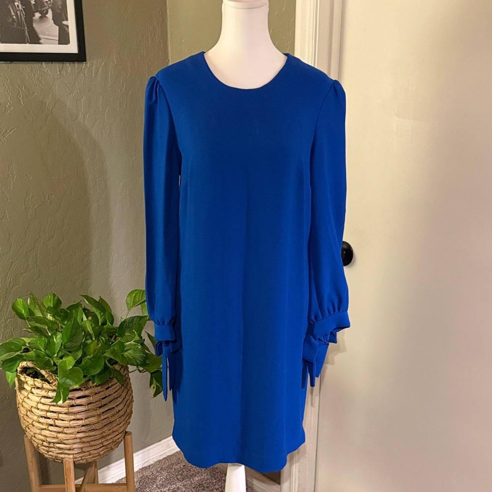 Banana Republic Vibrant Blue Long Sleeve Dress
